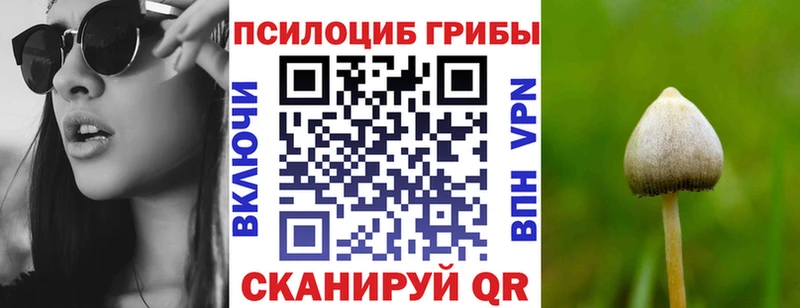 Галлюциногенные грибы Magic Shrooms  OMG ссылки  Спасск 